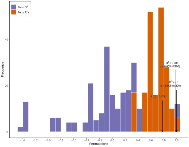 PLS-DA Permutation Test Plot